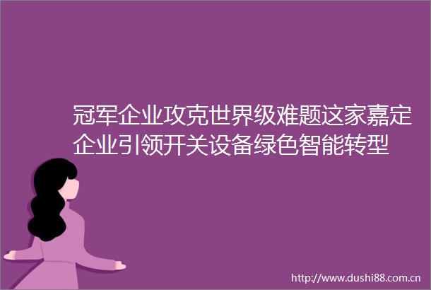 冠军企业攻克世界级难题这家嘉定企业引领开关设备绿色智能转型