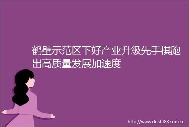 鹤壁示范区下好产业升级先手棋跑出高质量发展加速度