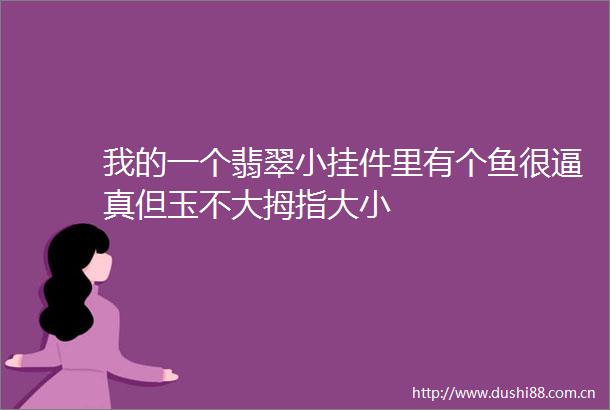 我的一个翡翠小挂件里有个鱼很逼真但玉不大拇指大小