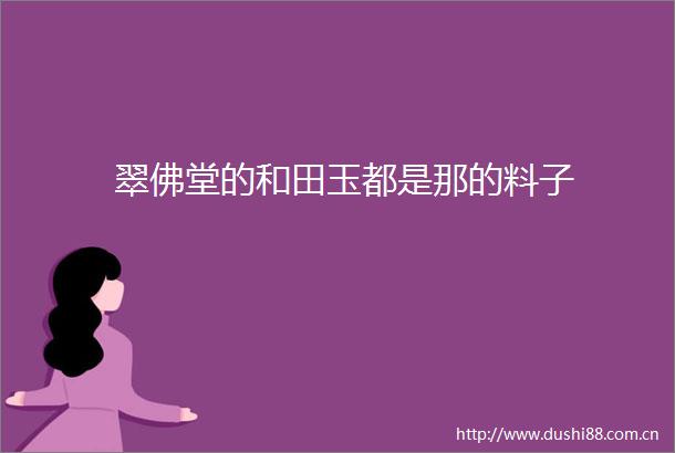 翠佛堂的和田玉都是那的料子
