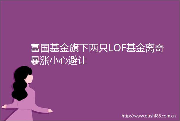 富国基金旗下两只LOF基金离奇暴涨小心避让