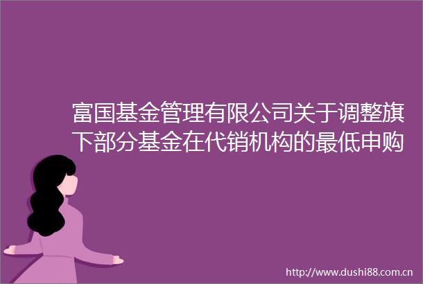 富国基金管理有限公司关于调整旗下部分基金在代销机构的最低申购金额的公告