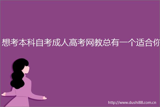 想考本科自考成人高考网教总有一个适合你
