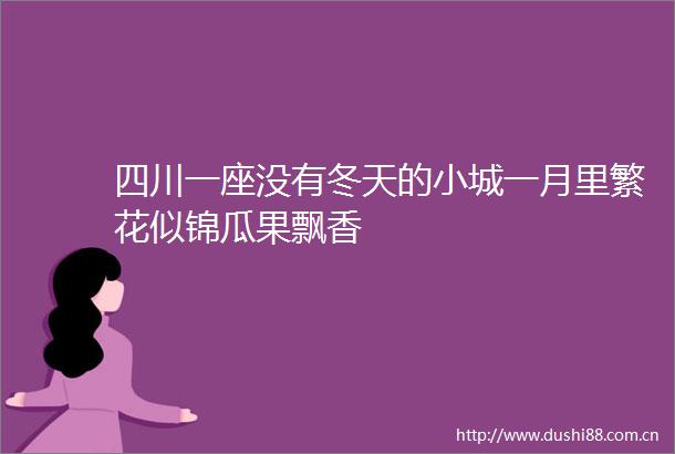 四川一座没有冬天的小城一月里繁花似锦瓜果飘香