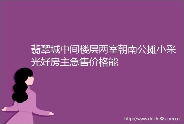 翡翠城中间楼层两室朝南公摊小采光好房主急售价格能