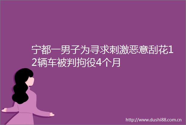 宁都一男子为寻求刺激恶意刮花12辆车被判拘役4个月