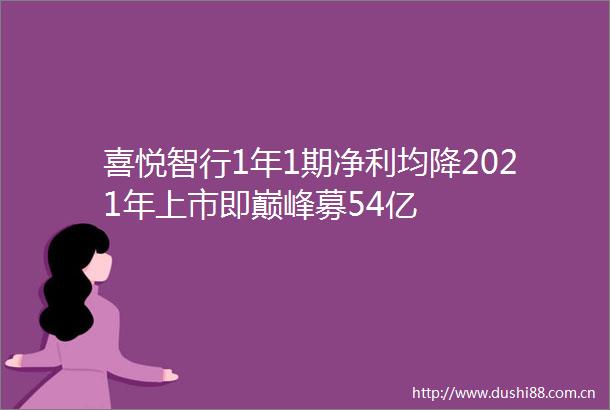喜悦智行1年1期净利均降2021年上市即巅峰募54亿