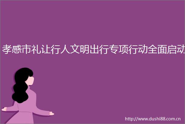 孝感市礼让行人文明出行专项行动全面启动