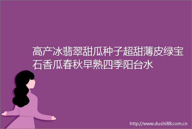 高产冰翡翠甜瓜种子超甜薄皮绿宝石香瓜春秋早熟四季阳台水