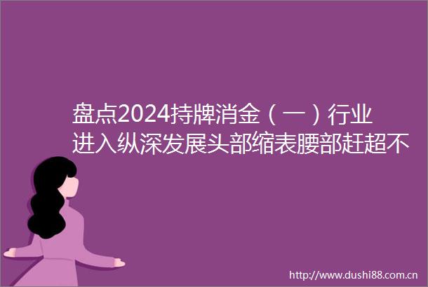 盘点2024持牌消金（一）行业进入纵深发展头部缩表腰部赶超不良资产加速甩卖