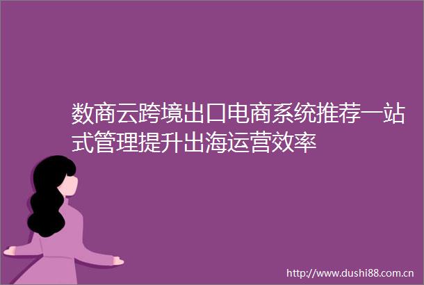 数商云跨境出口电商系统推荐一站式管理提升出海运营效率