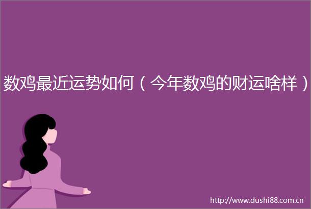 数鸡最近运势如何（今年数鸡的财运啥样）