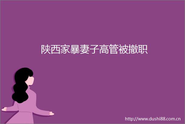 陕西家暴妻子高管被撤职