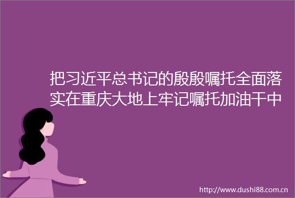 把总书记的殷殷嘱托全面落实在重庆大地上牢记嘱托加油干中益一年看巨变