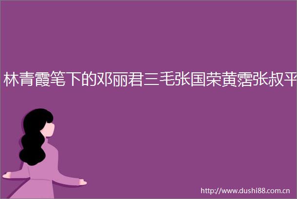 林青霞笔下的邓丽君三毛张国荣黄霑张叔平