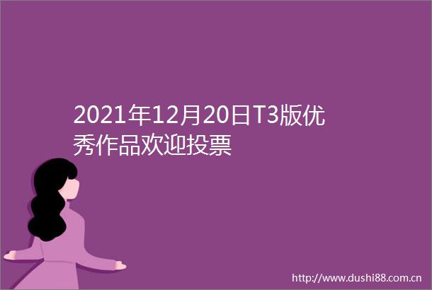 2021年12月20日T3版优秀作品欢迎投票