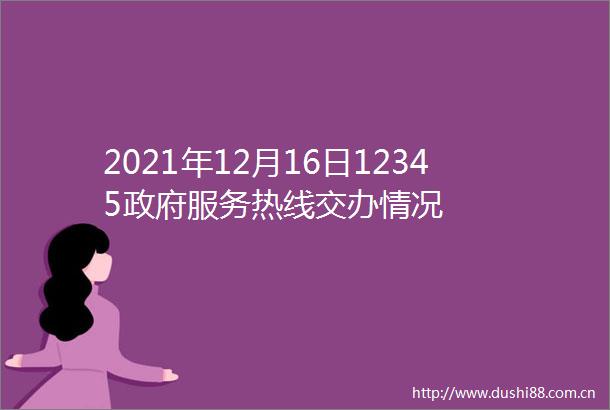 2021年12月16日12345服务热线交办情况