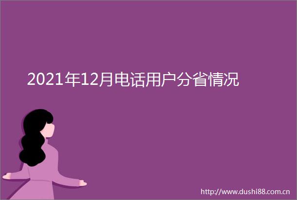 2021年12月电话用户分省情况
