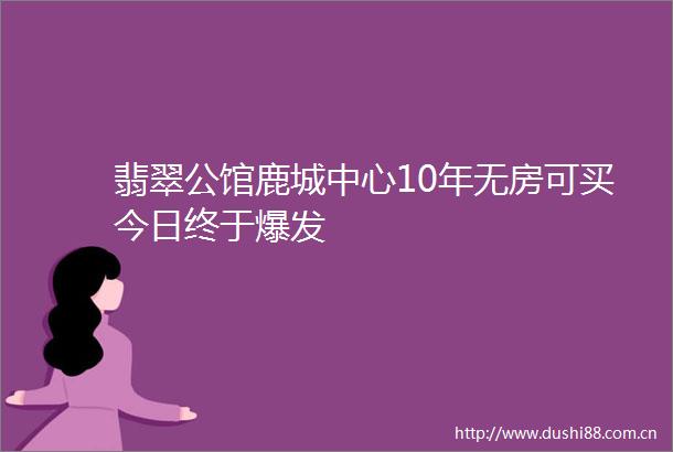 翡翠公馆鹿城中心10年无房可买今日终于爆发