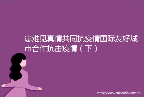 患难见真情共同抗疫情国际友好城市合作抗击疫情（下）
