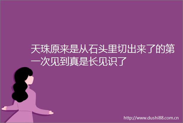 天珠原来是从石头里切出来了的第一次见到真是长见识了