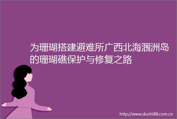 为珊瑚搭建避难所广西北海涠洲岛的珊瑚礁保护与修复之路