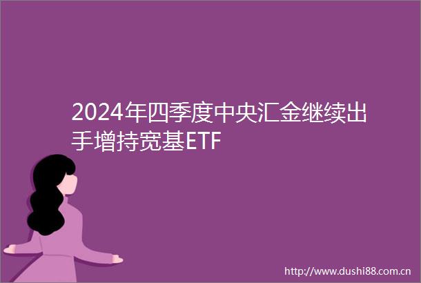 2024年四季度中央汇金继续出手增持宽基ETF