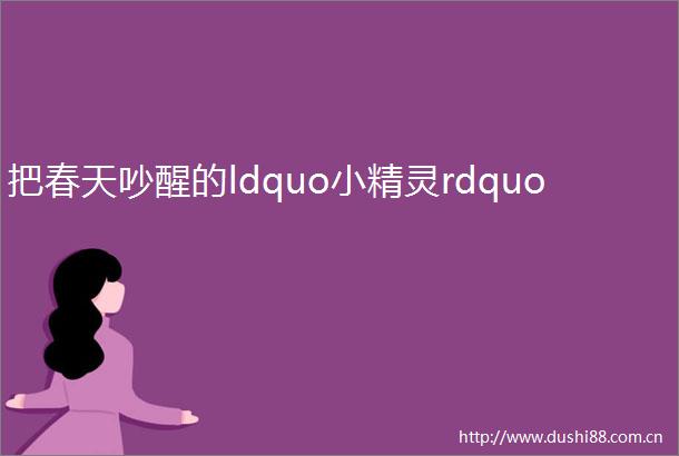 把春天吵醒的ldquo小精灵rdquo