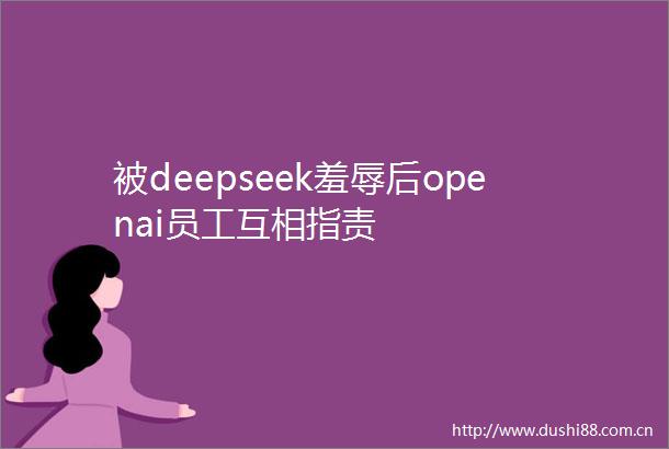 被deepseek羞辱后openai员工互相指责