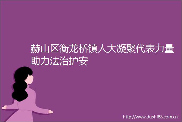 赫山区衡龙桥镇人大凝聚代表力量助力法治护安