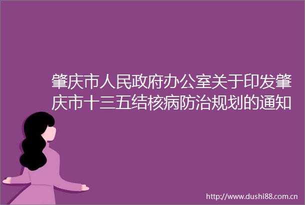 肇庆市办公室关于印发肇庆市十三五结核病防治规划的通知