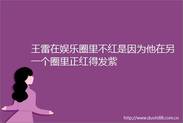 王雷在娱乐圈里不红是因为他在另一个圈里正红得发紫