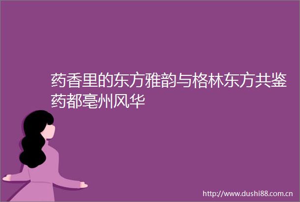 药香里的东方雅韵与格林东方共鉴药都亳州风华