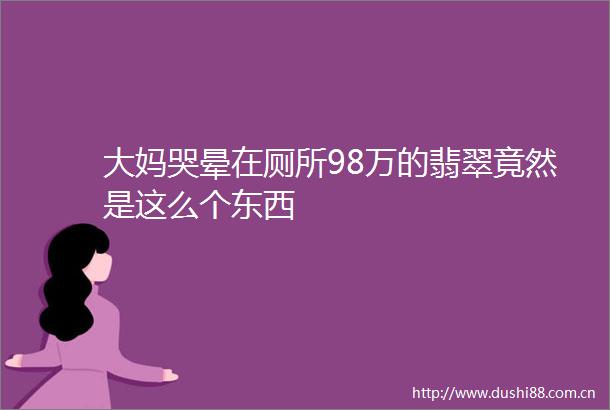 大妈哭晕在厕所98万的翡翠竟然是这么个东西