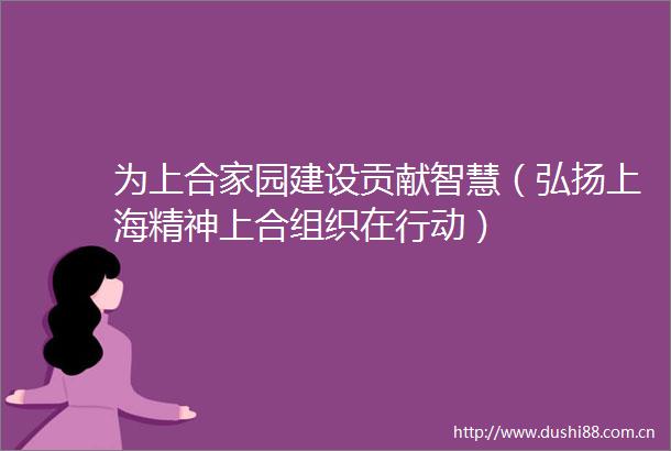 为上合家园建设贡献智慧（弘扬上海精神上合组织在行动）