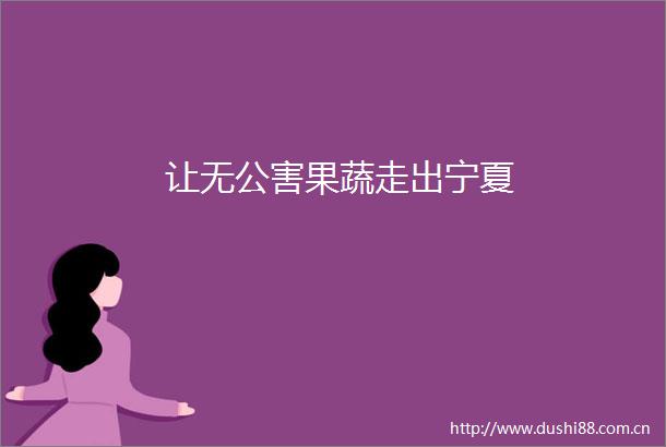 让无公害果蔬走出宁夏