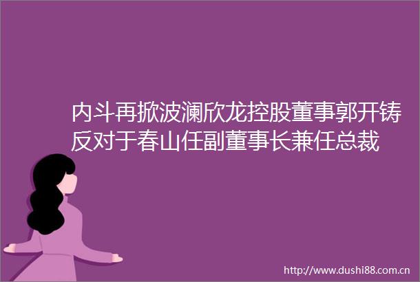 内斗再掀波澜欣龙控股董事郭开铸反对于春山任副董事长兼任总裁