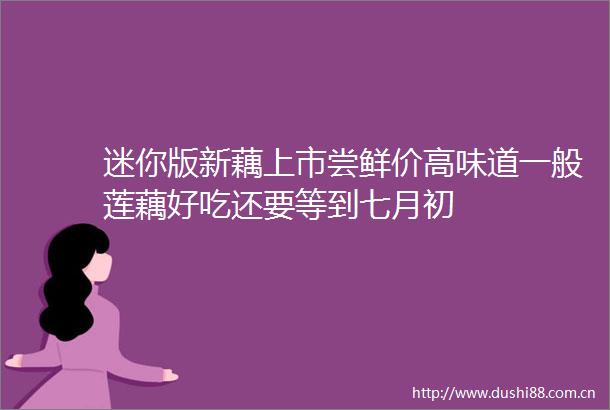 迷你版新藕上市尝鲜价高味道一般莲藕好吃还要等到七月初