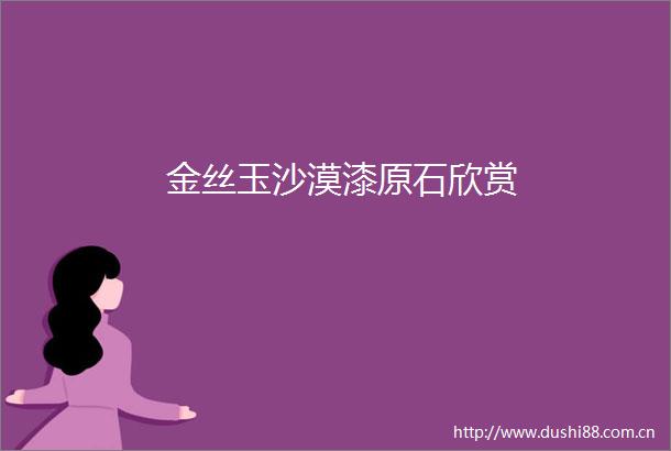 金丝玉沙漠漆原石欣赏