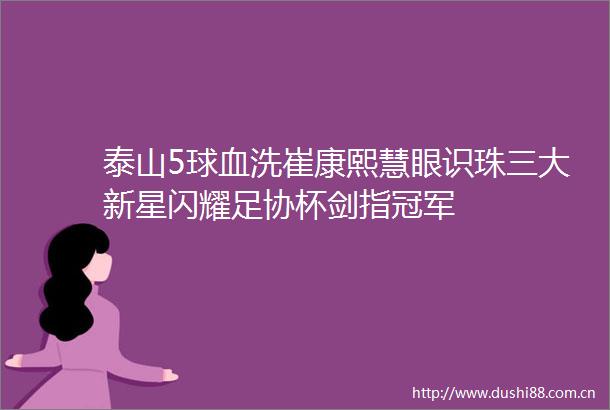 泰山5球血洗崔康熙慧眼识珠三大新星闪耀足协杯剑指冠军