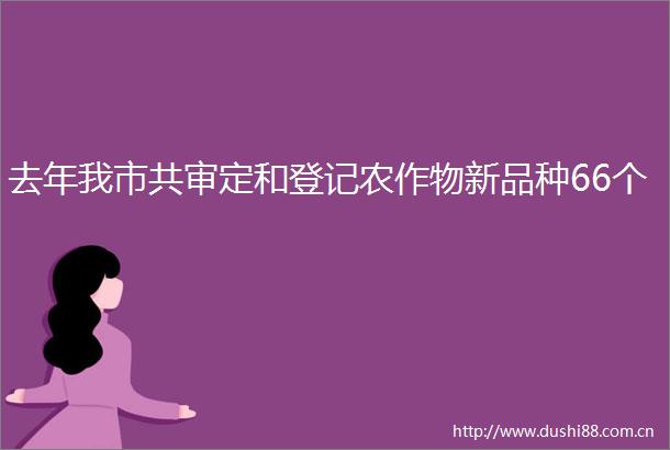 去年我市共审定和登记农作物新品种66个