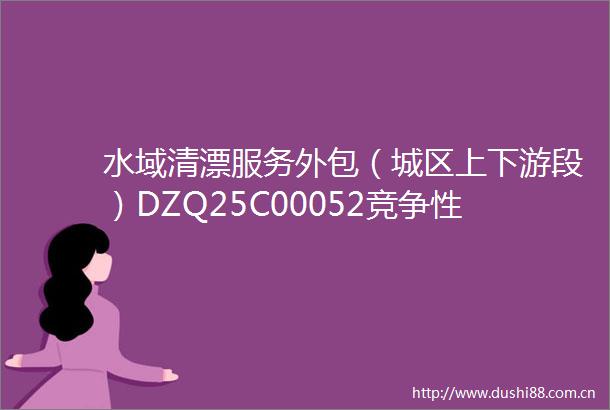水域清漂服务外包（城区上下游段）DZQ25C00052竞争性磋商公告