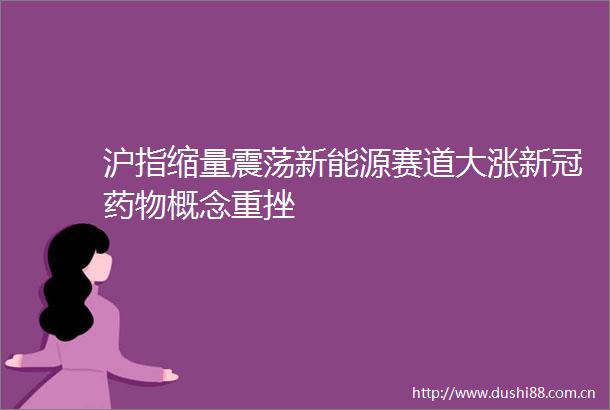 沪指缩量震荡新能源赛道大涨新冠药物概念重挫