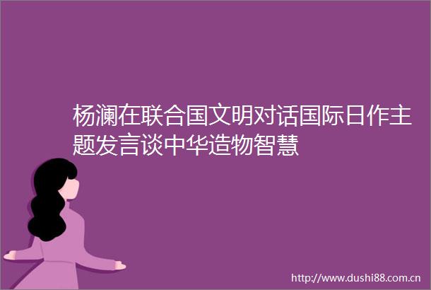 杨澜在联合国文明对话国际日作主题发言谈中华造物智慧