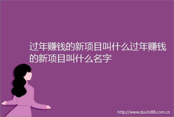 过年赚钱的新项目叫什么过年赚钱的新项目叫什么名字
