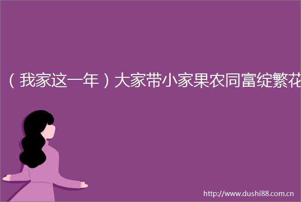 （我家这一年）大家带小家果农同富绽繁花