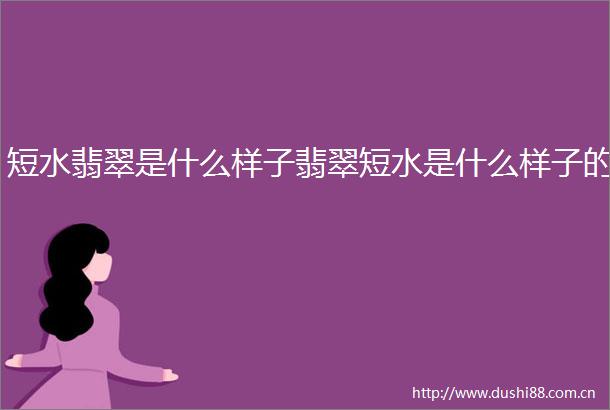 短水翡翠是什么样子翡翠短水是什么样子的