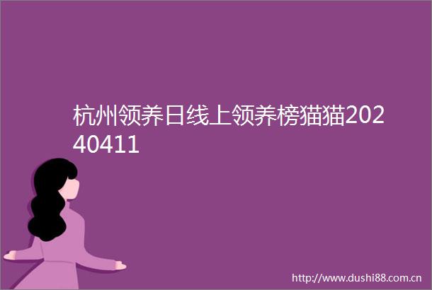 杭州领养日线上领养榜猫猫20240411
