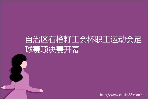 自治区石榴籽工会杯职工运动会足球赛项决赛开幕