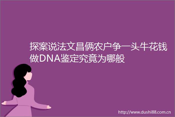 探案说法文昌俩农户争一头牛花钱做DNA鉴定究竟为哪般
